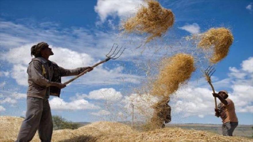 مهربان بمانیم